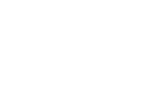 Logo Insel Borkum