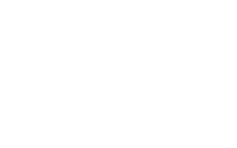 Regis online Logo